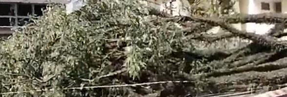 MILIONI LJUDI BEZ STRUJE I VODE: Tropski ciklon pogodio Sao Paulo, padali dalekovodi i drveće (VIDEO)