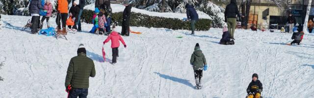 Kakva radost u Skojevskom! Ovo je prizor zbog koga smo čekali zimu
