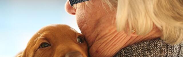 Psi zaista utiču na dugovečnost svojih vlasnika
