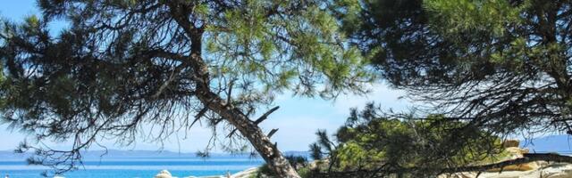 Letnje destinacije idealne za decu – testirano i odobreno od strane jedne mame putnice