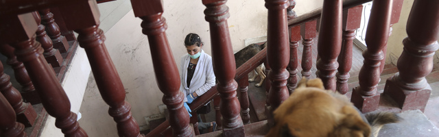 THE NEW YORK TIMES: Broj smrti u Ekvadoru 15 puta veći od zvaničnog