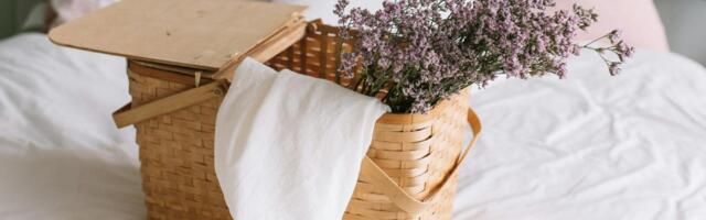 DIY: Kako napraviti korpe od bambusa od kartonskih kutija