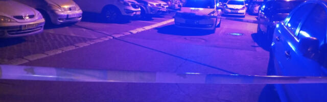 UBISTVO MAJKE PRIJAVILO DETE (6) Jezivi detalji horora u Novom Sadu