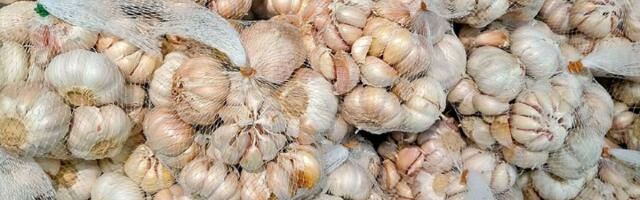 Trik zlata VREDAN: Beli luk se neće pokvariti do sledećeg leta ako ovo uradite