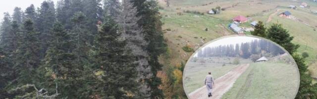 Strah se širi okolinom Krupnja! Zver se vratila na planinu, kamera snimila nezvanog gosta