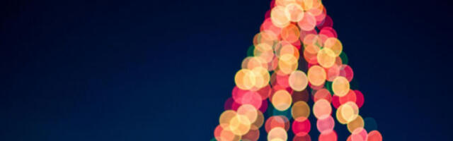 Светски рекорд у Енглеској: Новогодишња јелка висока скоро 45 метара