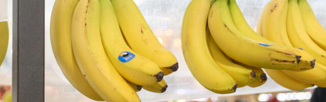 Evo šta će vam se desiti ako svaki dan pojedete 1 bananu! O ovoj promeni svi lekari pričaju, odmah počinje proces