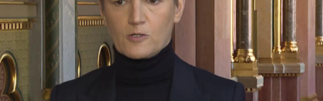 Брнабић: СНС подршку тражи од грађана Србије, блокадери из бивше власти од странаца