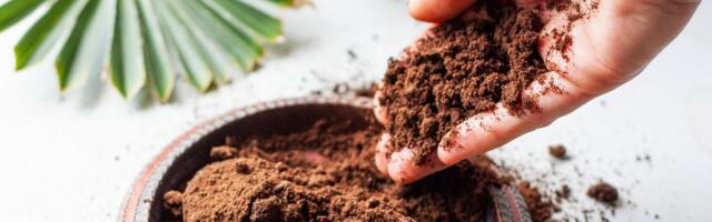 Jedna kašika rešava problem: Evo zašto ljudi masovno sipaju talog od kafe u wc šolju