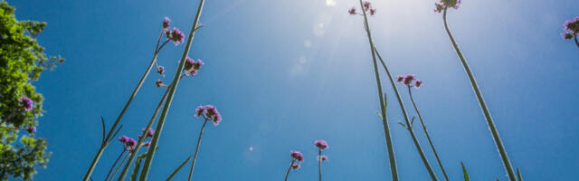 Danas promenljivo oblačno uz sunčane intervale, temperatura do 19 stepeni