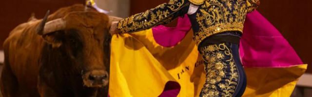 ​У Малаги бик убио пензионисаног матадора уочи кориде