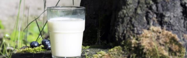 Prirodan trik koji baštovani obožavaju: Razblaženo mleko za zdravije biljke i lepše listove