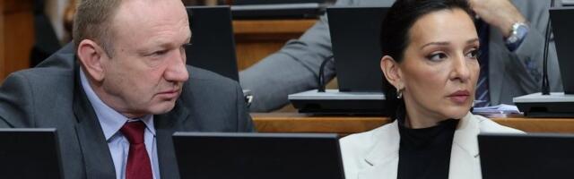 Patosirana Marinika: Đilasova perjanica se ostrvila na Zoranu Mihajlović, spomenula i zatvor - ali ovo nije očekivala
