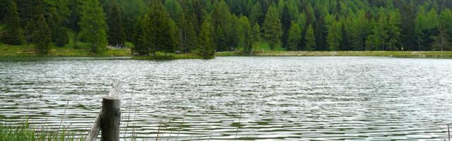 Značajan porast vodostaja Borskog jezera: Nivo vode viši za 1,66 metara