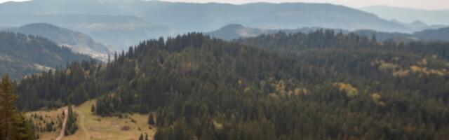 Ranko sa Zlatara spava skoro 20 dana i ne budi se: Čudo prirode