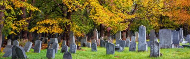 Krvavi zločin na groblju: Devojčica (14) izbola ženu na smrt, ono što je rekla nakon toga sve šokiralo