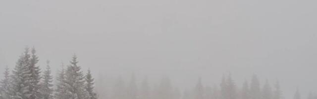 Drama u Crnoj Gori: Sneg okovao gradove, delovi Cetinja i Nikšića satima bez struje