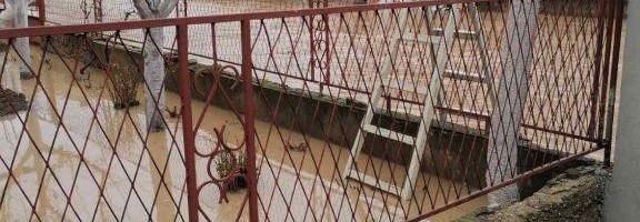 Štete od poplava u Dimitrovgradu nadoknadiće „Dunav osiguranje“