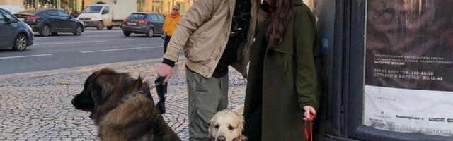 Faza medenog meseca može postojati i u dugoj vezi