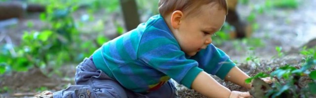 Deca koja se igraju u prirodnom okruženju imaju bolji imunitet