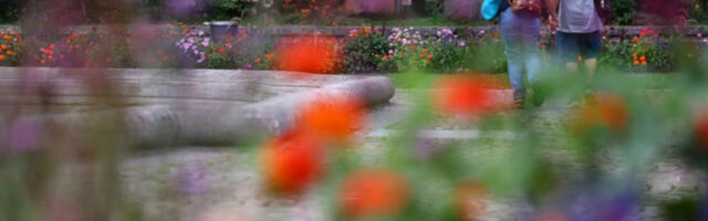 Зелено светло за канабис у парковима Минхена