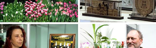 Šta je "Babin zub" i koji cvet privlači SAVRŠENOG partnera? Bane sa Sajma otkrio i zašto treba da imamo bambus