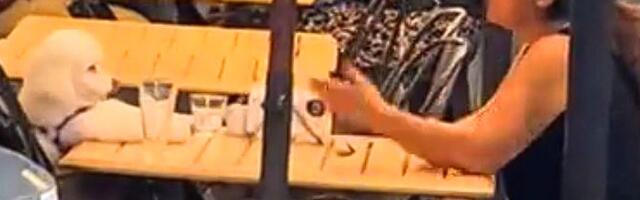Prolaznik slučajno snimio NAJBOLJI VIDEO U ISTORIJI: Žena i njen pas iz kafića u Buenos Ajresu očarali svet