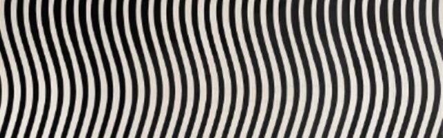 Samo ljudi sa VISOKIM IQ-om mogu da uoče LIK koji se krije između linija (FOTO)