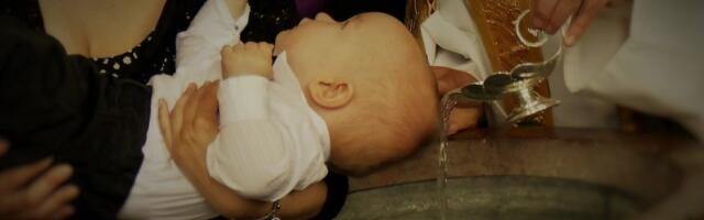 HIT U PRIJEPOLJU: Žirafa "ukrala šou" na proslavi rođendana