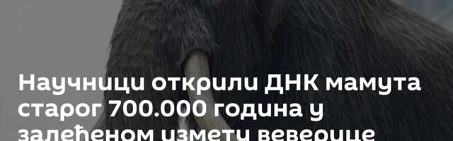 Научници открили ДНК мамута старог 700.000 година у залеђеном измету веверице