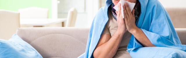 Biljka koja pomaže da se na najlakši način izborite sa prehladom i gripom