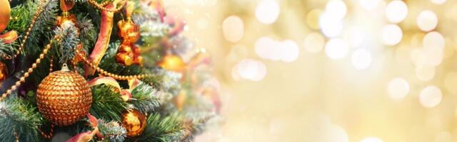 Zajedno u radosti: Jelka prijateljstva okuplja decu različitih jezika i kultura u ovom srpskom gradiću