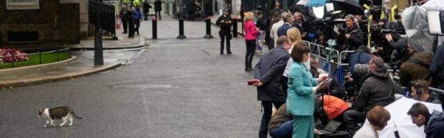 Glavni lovac na miševe britanskog Ministarstva spoljnih poslova uginuo kao konsultant na Bermudima