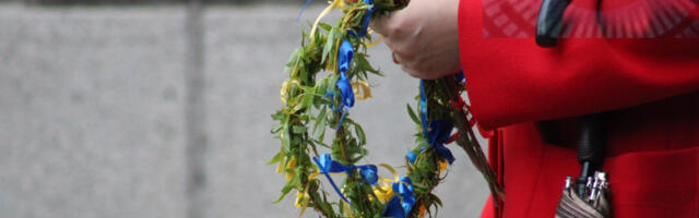 Vrbica u Leskovcu: Foto priča