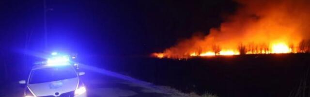 POŽAR U NOVOM SADU! Vatrogasci daju sve od sebe da se ne ponovi situacija sa futoškog nasipa