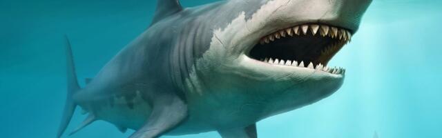 Istraživači u okeanu otkrili ogromnu masu ponadavši se povratku Megalodona