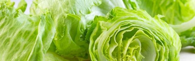 Poskupeo kupus: Ništa od sarmi ove godine?