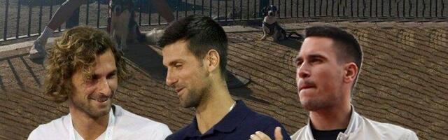 RASTOPIĆETE SE: Pogledajte dva nova kućna ljubimca koje je nabavio Đoković- PRESLATKI SU!