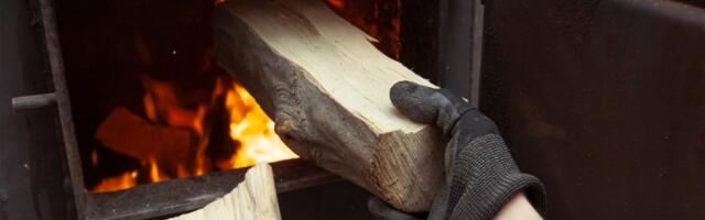 Ovo ogrevno drvo NAJDUŽE GORI: Evo šta je NAISPLATIVIJE UZETI za grejanje