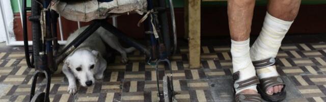 "TEŠKO SE PRENOSI, LAKO LEČI"! Oglasio se "Batut" o gubi, koja je na vratima Srbije!