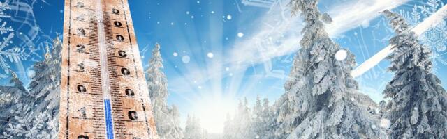 TRAGIČNA PRIČA NA GRANICI SA SRBIJOM: Bračni par se smrznuo od hladnoće, a razlog je jako tužan