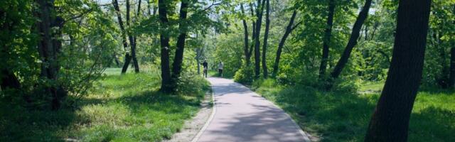 Trim staza na Košutnjaku dobija novi izgled i još bolje uslove za vežbanje