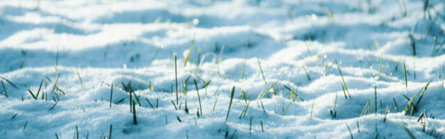 Снег пао на ивањичка села, мештани брину због малињака