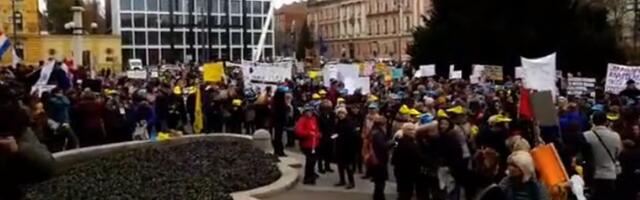 Održan protest u Sisku protiv megafarmi pilića i klanica: Najavljen novi skup u junu