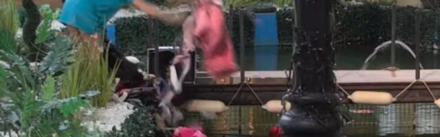 Viktorija UPROPASTILA Marijani svu garderobu: Mitrovićeva se OSVETILA Zonjićevoj dok je ona ležala u ZATVORU! (VIDEO)