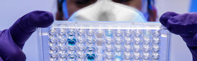 Ljudi sve češće kloniraju svoje ljubimce a možda će i decu