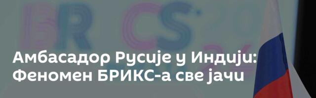 Амбасадор Русије у Индији: Феномен БРИКС-а све јачи