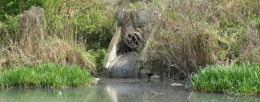 Radišić: Fabrika vode u Zrenjaninu predstavlja igranje životima i zdravljem ljudi