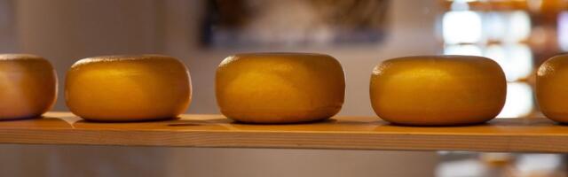 Glamočić: Srbija tražila uvođenje na mleko u prahu i polutvrde sireve iz EU