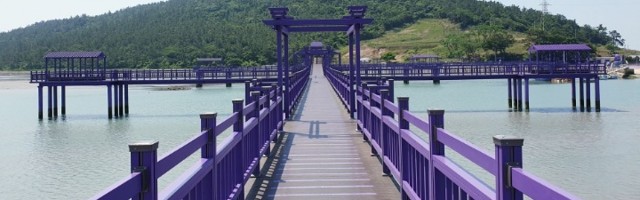Ljubičasto ostrvo u Južnoj Koreji je prava turistička atrakcija